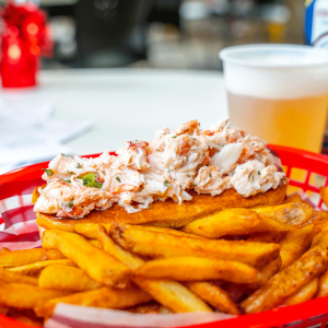 Guedille ecloserie 2024